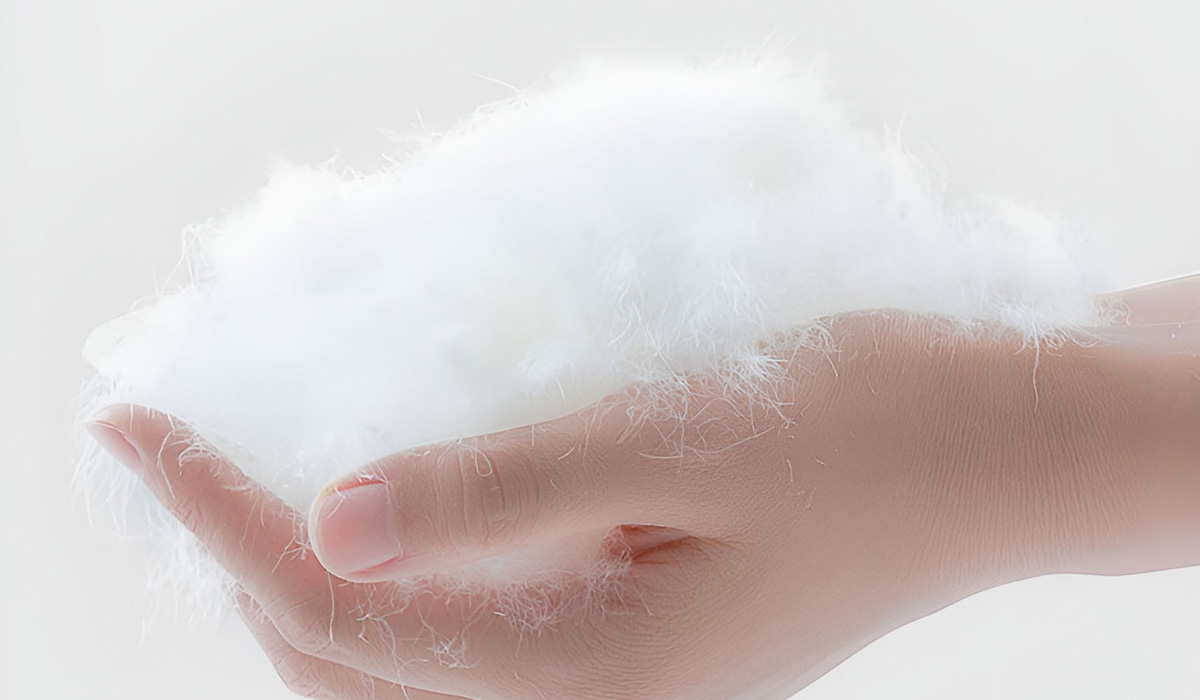 organic cotton