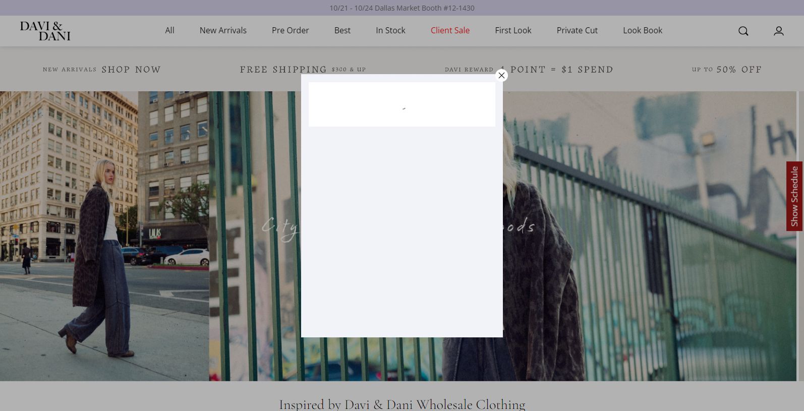 Davi & Dani: Leading Wholesale Clothing Vendor