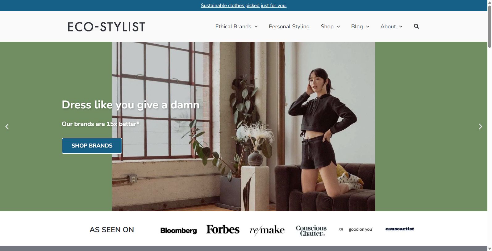 Eco-Stylist: Ethical Fashion Choices